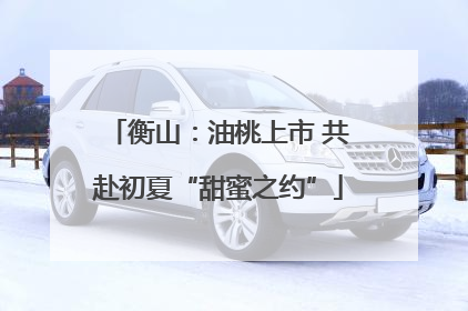 衡山：油桃上市 共赴初夏“甜蜜之约”