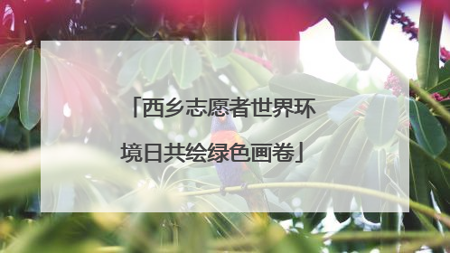 西乡志愿者世界环境日共绘绿色画卷
