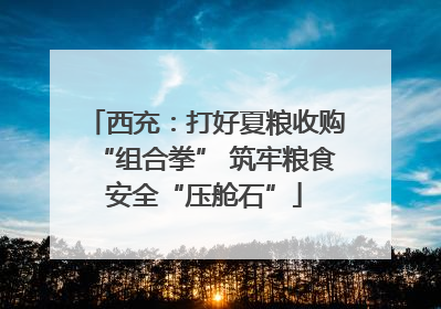 西充：打好夏粮收购“组合拳” 筑牢粮食安全“压舱石”