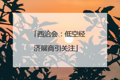 西洽会：低空经济展商引关注