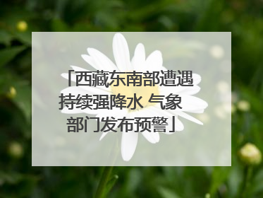 西藏东南部遭遇持续强降水 气象部门发布预警