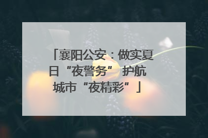 襄阳公安：做实夏日“夜警务” 护航城市“夜精彩”