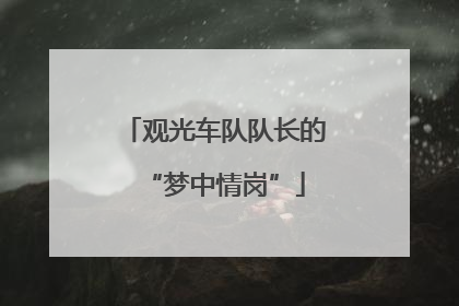 观光车队队长的“梦中情岗”