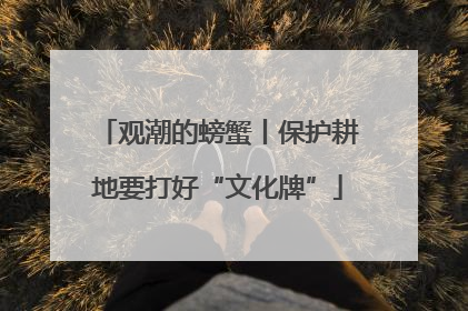 观潮的螃蟹丨保护耕地要打好“文化牌”