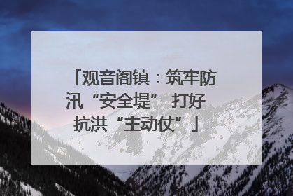 观音阁镇：筑牢防汛“安全堤” 打好抗洪“主动仗”