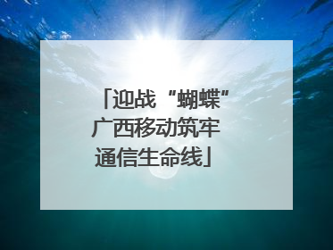 迎战“蝴蝶” 广西移动筑牢通信生命线