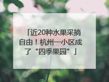 近20种水果采摘自由！杭州一小区成了“四季果园”