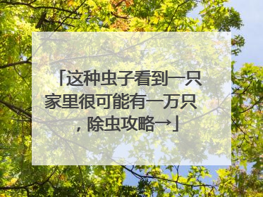 这种虫子看到一只家里很可能有一万只，除虫攻略→