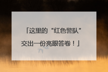 这里的“红色警队”交出一份亮眼答卷！