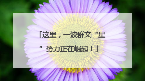 这里，一波群文“星”势力正在崛起！
