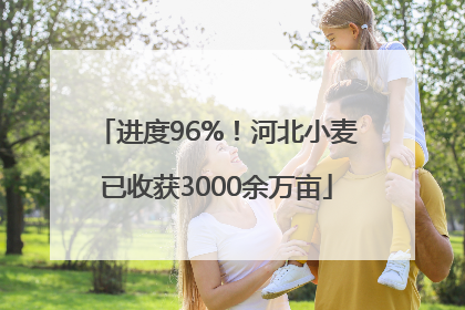 进度96%！河北小麦已收获3000余万亩
