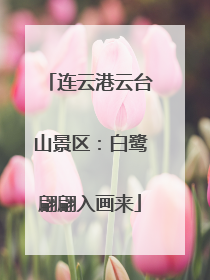 连云港云台山景区：白鹭翩翩入画来