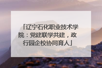 辽宁石化职业技术学院：党建联学共建，政行园企校协同育人