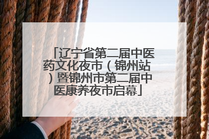 辽宁省第二届中医药文化夜市（锦州站）暨锦州市第二届中医康养夜市启幕