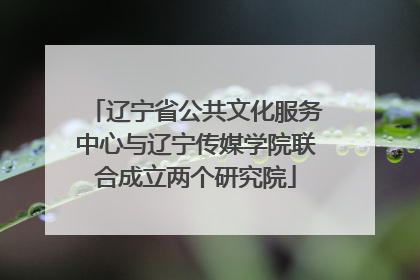 辽宁省公共文化服务中心与辽宁传媒学院联合成立两个研究院