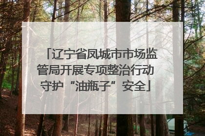 辽宁省凤城市市场监管局开展专项整治行动守护“油瓶子”安全
