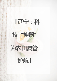 辽宁：科技“神器”为农田夏管护航