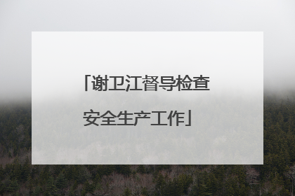 谢卫江督导检查安全生产工作