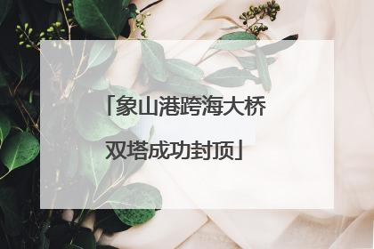象山港跨海大桥双塔成功封顶