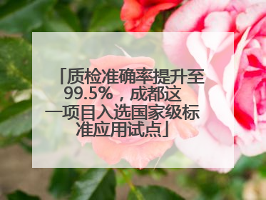 质检准确率提升至99.5%，成都这一项目入选国家级标准应用试点