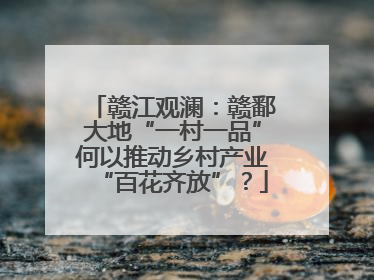 赣江观澜：赣鄱大地“一村一品”何以推动乡村产业“百花齐放”？