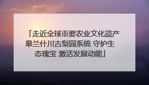 走近全球重要农业文化遗产皋兰什川古梨园系统 守护生态瑰宝 激活发展动能
