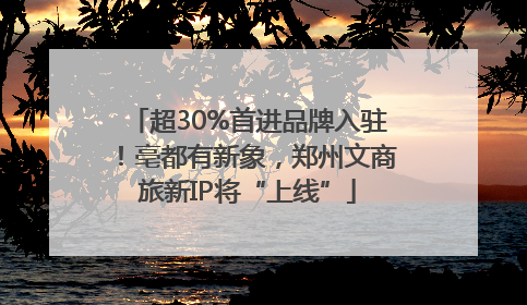 超30%首进品牌入驻！亳都有新象，郑州文商旅新IP将“上线”