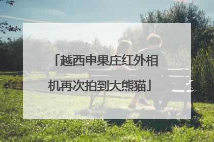 越西申果庄红外相机再次拍到大熊猫