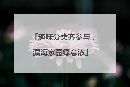 趣味分类齐参与，瀛海家园绿意浓