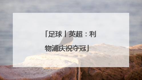 足球丨英超：利物浦庆祝夺冠