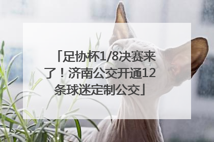 足协杯1/8决赛来了！济南公交开通12条球迷定制公交