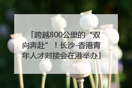 跨越800公里的“双向奔赴”！长沙-香港青年人才对接会在港举办