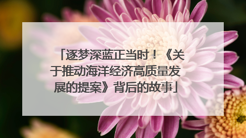 逐梦深蓝正当时！《关于推动海洋经济高质量发展的提案》背后的故事