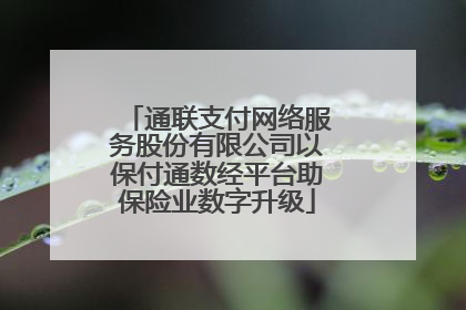 通联支付网络服务股份有限公司以保付通数经平台助保险业数字升级