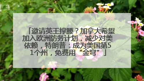 邀请英王撑腰？加拿大希望加入欧洲防务计划，减少对美依赖，特朗普：成为美国第51个州，免费用“金穹”