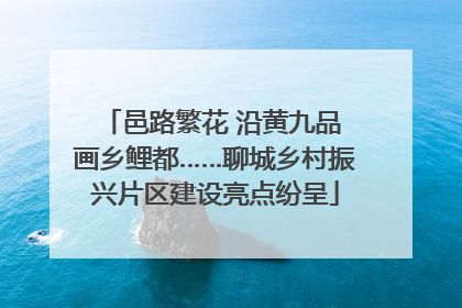 邑路繁花 沿黄九品 画乡鲤都……聊城乡村振兴片区建设亮点纷呈