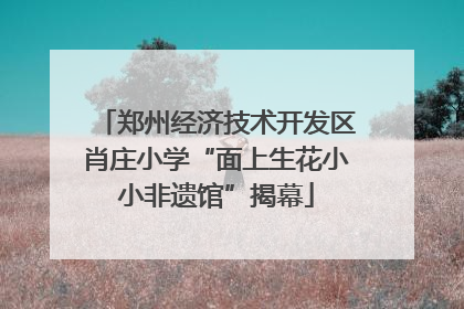 郑州经济技术开发区肖庄小学“面上生花小小非遗馆”揭幕