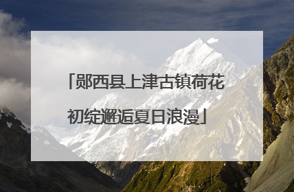 郧西县上津古镇荷花初绽邂逅夏日浪漫