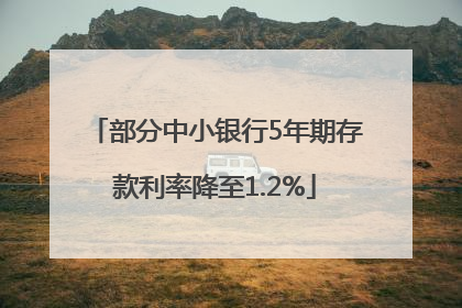 部分中小银行5年期存款利率降至1.2%