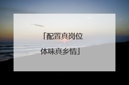 配置真岗位 体味真乡情