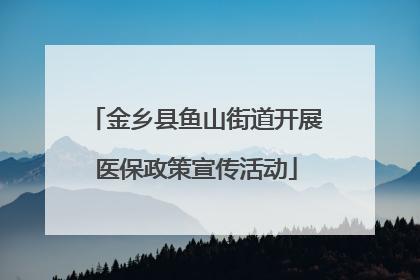 金乡县鱼山街道开展医保政策宣传活动
