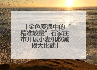 金色麦浪中的“精准较量”石家庄市开展小麦机收减损大比武