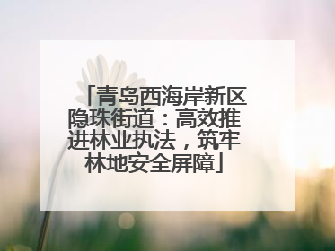 青岛西海岸新区隐珠街道：高效推进林业执法，筑牢林地安全屏障