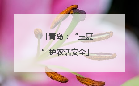 青岛：“三夏”护农话安全