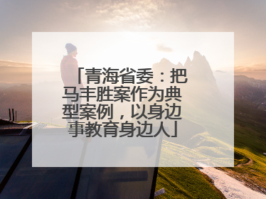 青海省委：把马丰胜案作为典型案例，以身边事教育身边人