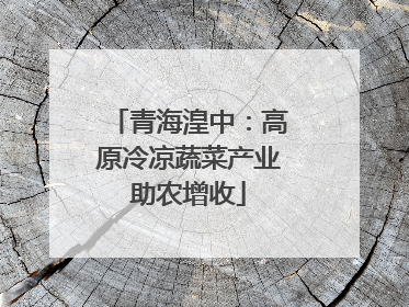 青海湟中：高原冷凉蔬菜产业助农增收