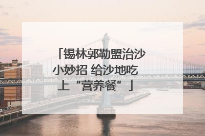 锡林郭勒盟治沙小妙招 给沙地吃上“营养餐”