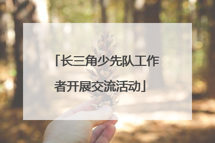 长三角少先队工作者开展交流活动