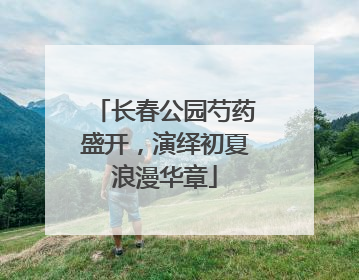 长春公园芍药盛开，演绎初夏浪漫华章
