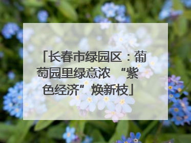 长春市绿园区：葡萄园里绿意浓 “紫色经济”焕新枝